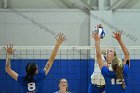 VB vs USCGA  Wheaton College Women's Volleyball vs U.S. Coast Guard Academy. - Photo by Keith Nordstrom : Wheaton, Volleyball